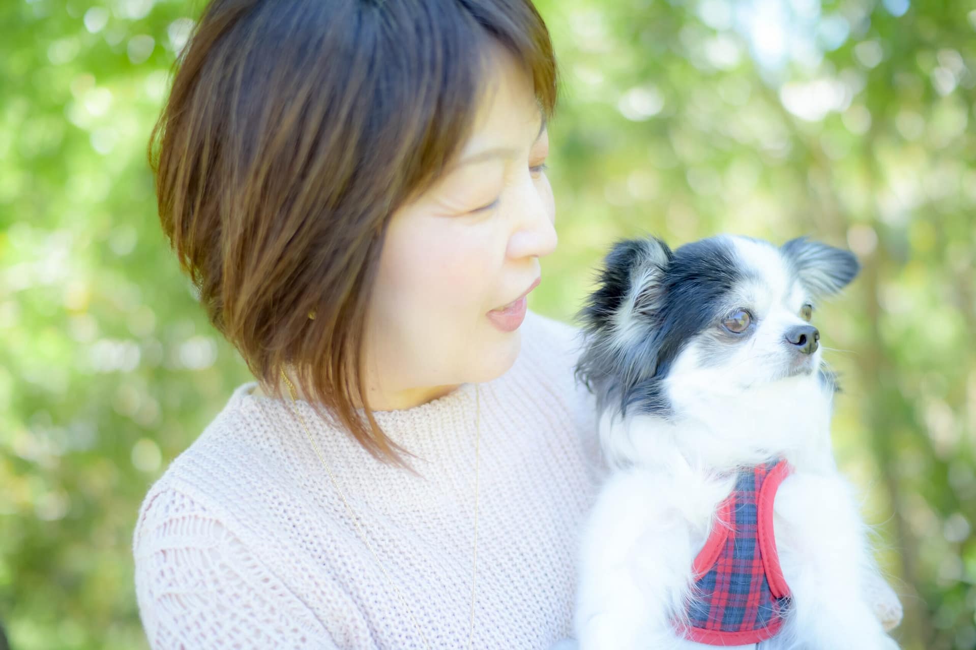 奈良県生駒市の心理カウンセラー藤田侑杏恵と愛犬