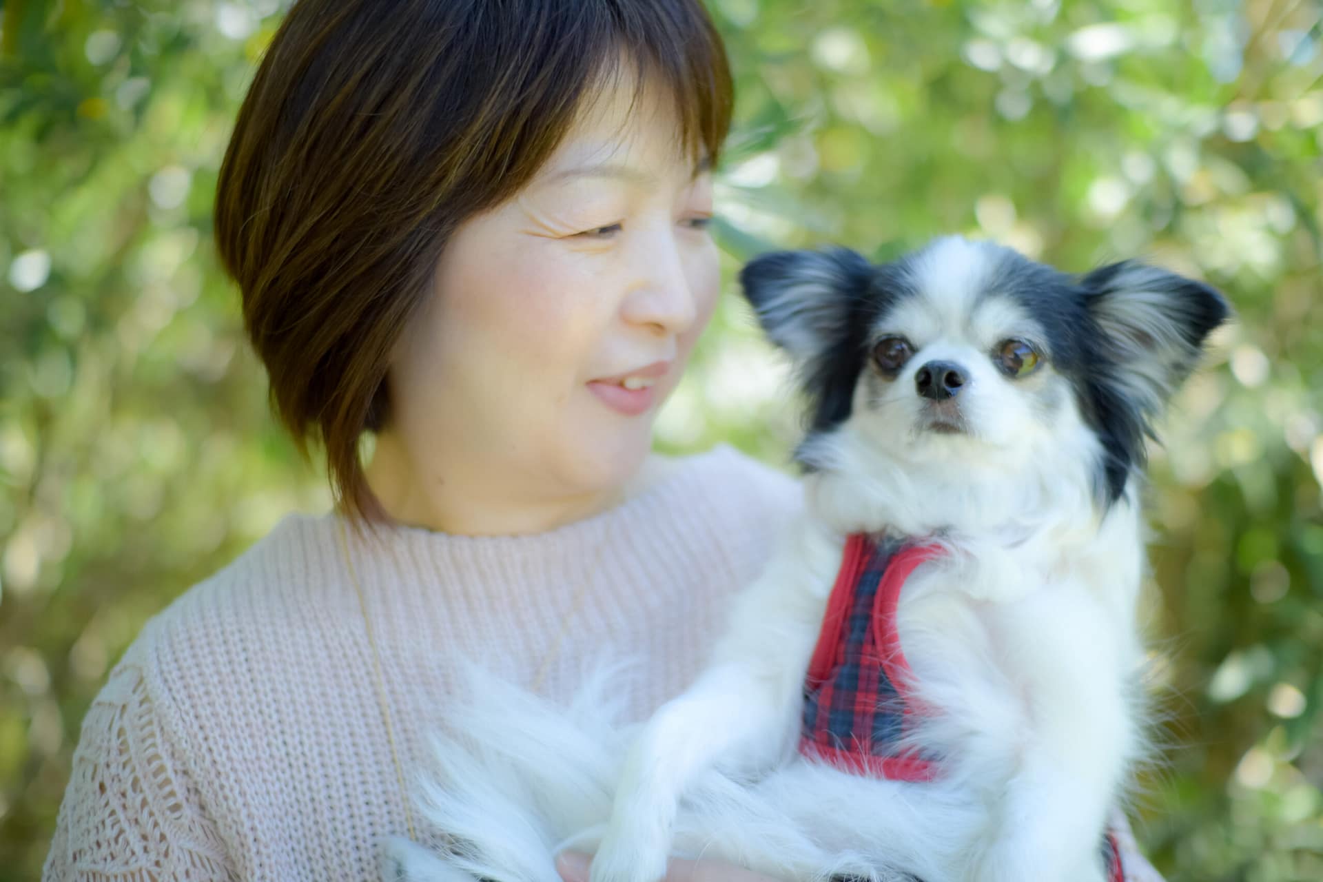 奈良県生駒市の心理カウンセラー藤田侑杏恵のプロフィール写真